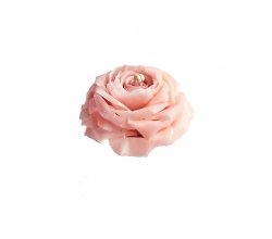 Свічка Троянда