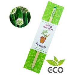 Зростаючий ЕКО олівець Цибуля