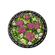 Тарілка розписна 22 см