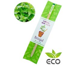 Зростаючий ЕКО олівець М'ята