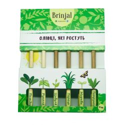 Набір зростаючих ЕКО олівців 6в1 № 2 950201