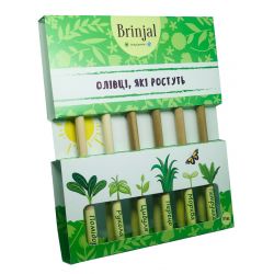 Набір зростаючих ЕКО олівців 12в1