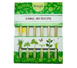 Набір зростаючих ЕКО олівців 6в1 №1