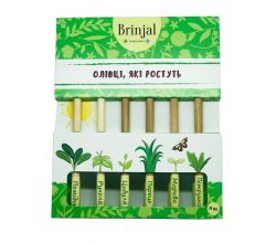 Набір зростаючих ЕКО олівців 6в1 № 2 950201