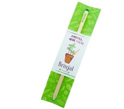 Зростаючий ЕКО олівець Фіалка