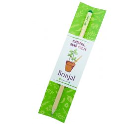 Зростаючий ЕКО олівець Фіалка