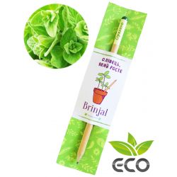 Зростаючий ЕКО олівець Орегано