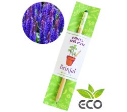 Зростаючий ЕКО олівець Шавлія