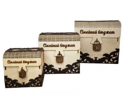 Скарбнички Сімейний бюджет 3 в 1 482189421