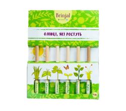 Набор из 6 цветных растущих карандашей.