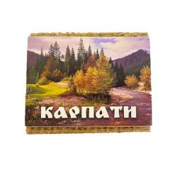 Магніт Карпати №5