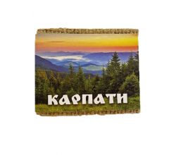 Магніт Карпати №6