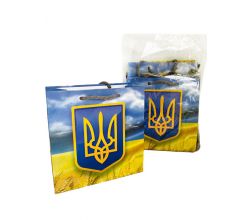 Упаковка подарункових пакетів Поле України (24х24 см)