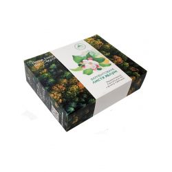 Ферментоване листя яблуні