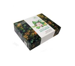 Ферментоване листя яблуні