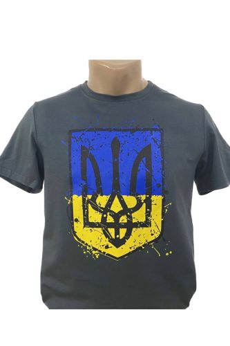 Мужская футболка герб сине-желтый серая (упаковка) S-XL