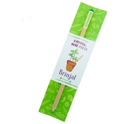 Зростаючий ЕКО олівець Шпинат