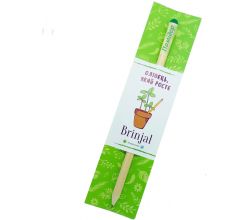 Зростаючий ЕКО олівець Помідор